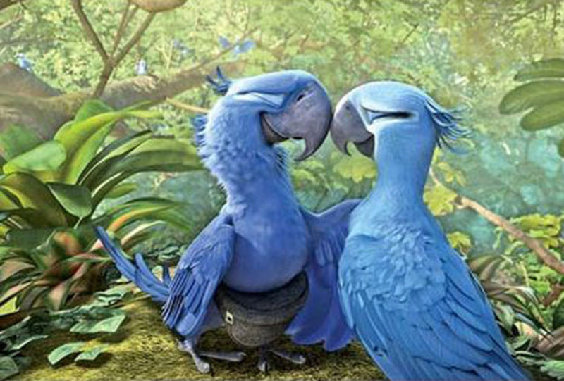 blu y perla viajan al as en rio 2 550